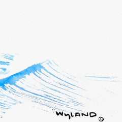 Whale Tail