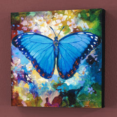 Blue Morpho