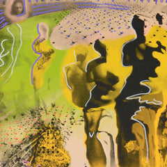 Hallucinogenic Toreador