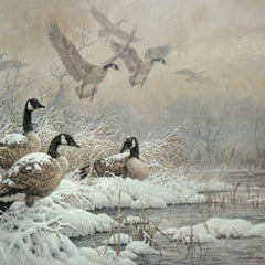 Winter Retreat