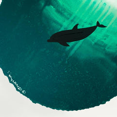 Dolphin Diving Deep