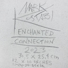 Enchanted Connection