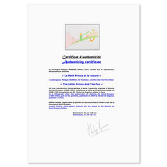 The Little Prince And The Fox