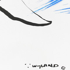 Humpback