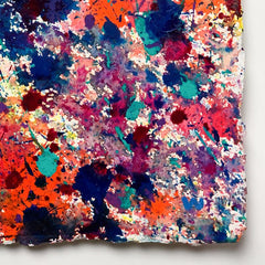 Coral Colors 17