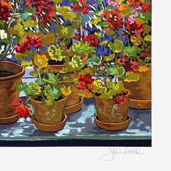 Geranium