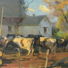 Evening Holsteins