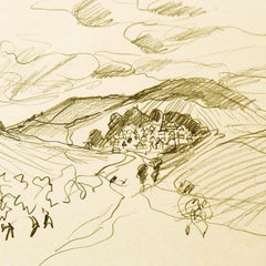 View of Nuits St Georges, Burgundy