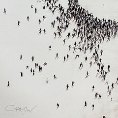 Populus: Surfin Sunday