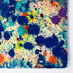 Coral Colors 79
