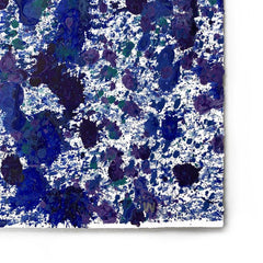 Splash 5