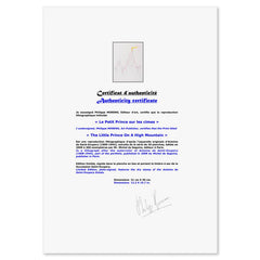 The Little Prince On A High Mountain