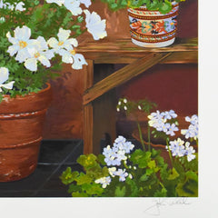 Geraniums