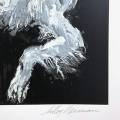 Borzoi