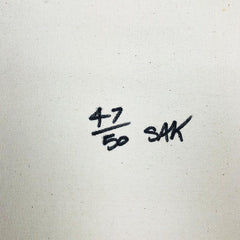 Steepechase, Coney Island