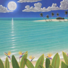 Birds In The Moonlight