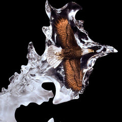 Spirit Flight