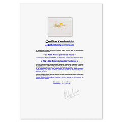 The Little Prince Lying On The Grass