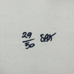 Steepechase, Coney Island