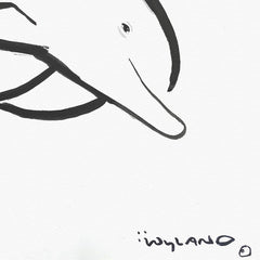 Dolphin