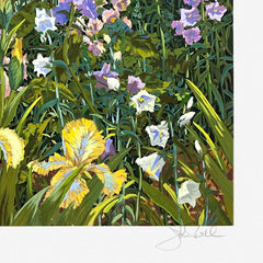 Fox Gloves and Irises