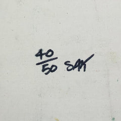 Steepechase, Coney Island