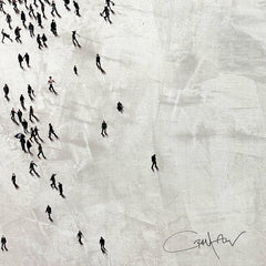 Populus: Quiet Gaze