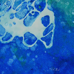 Jellyfish 2