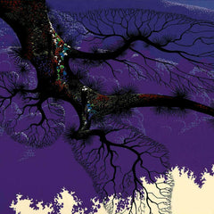 Purple Coastline