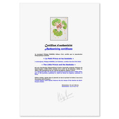 The Little Prince And The Baobabs