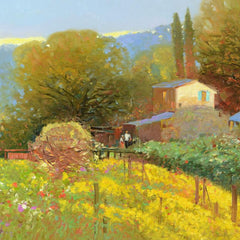 Daisy Garden