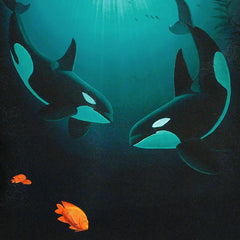 In the Company of Orcas