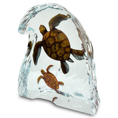 Sea Turtles