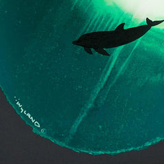 Solitary Dolphin in Green