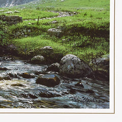 Cronaniy Burn