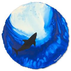 Solitary Shark