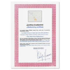 The Little Prince Flying Away