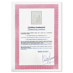 The Little Prince On Asteroid B-612