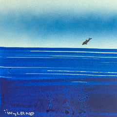 Dolphin
