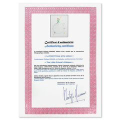 The Little Prince's Volcano