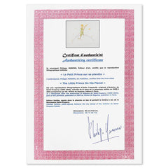 The Little Prince On His Planet