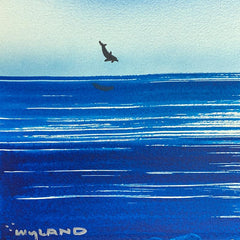 Dolphin