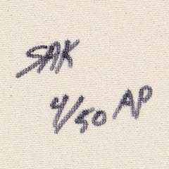 Bill Clinton, We the People