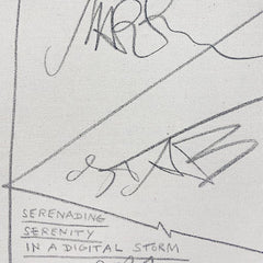 Surrendering Serenity in a Digital Storm