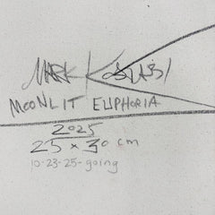 Moonlit Euphoria