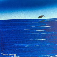 Dolphin