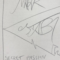 Secret Passion