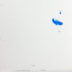 Fluke