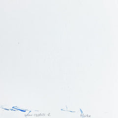 Fluke