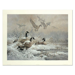 Winter Retreat